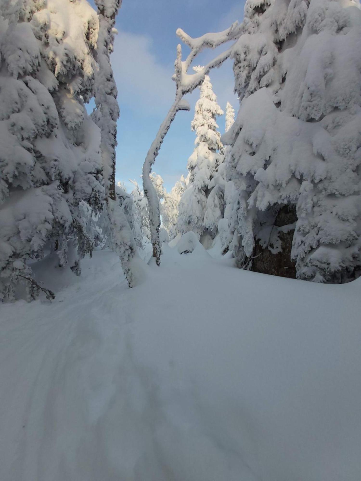 O'Berge Du Village C304 - Bord De L'Eau Magog Exterior foto